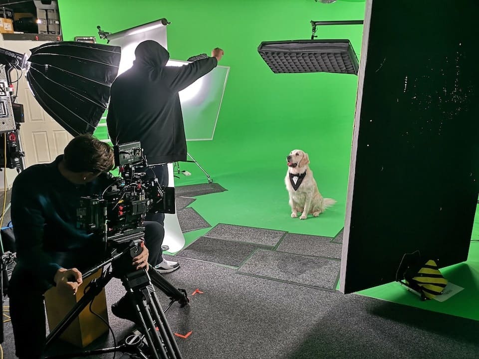 Dog-Food-Commercial-Filming