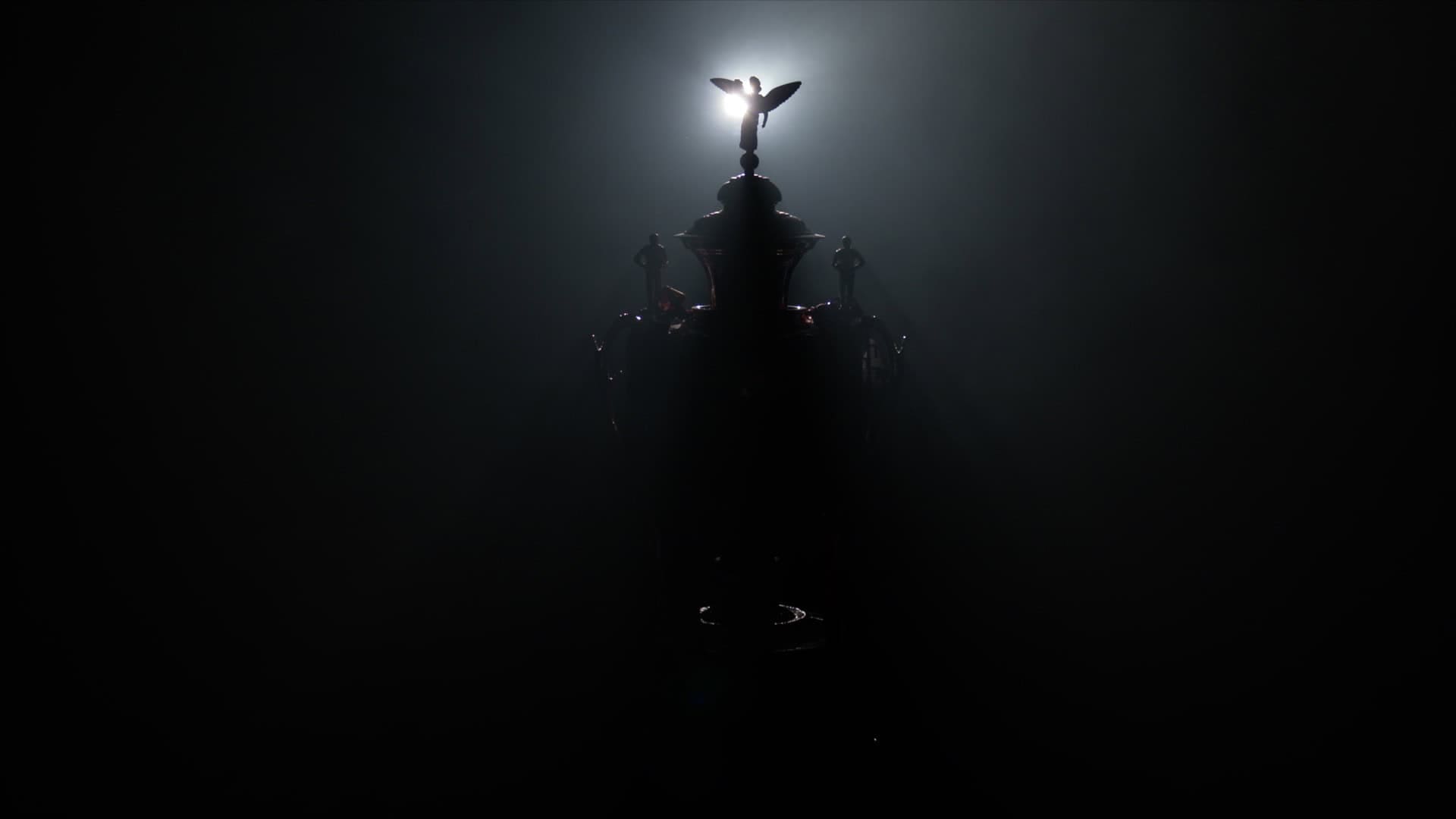 Illuminated RFL cup shrouded in darkness and haze
